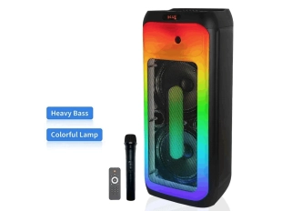 Двоен говорител WVNGR DR-1028 караоке с 2x10.5 инча