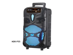 NDR-P55 караоке тонколона 8 инча с Bluetooth и микрофон за забавления