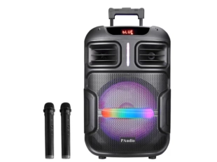 Светеща караоке тонколона WVNGR BT-1200 с 12 инча