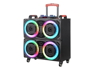 WVNGR-8888с светеща караоке тонколона 4x8 инча