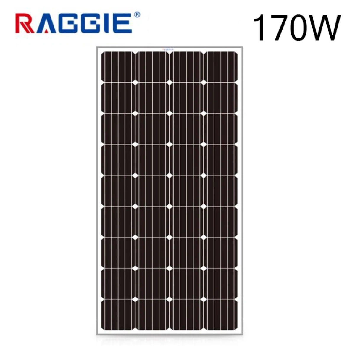 Соларен панел 170W монокристален 12V RAGGIE 1480x640x35мм - Raggie 1830-170